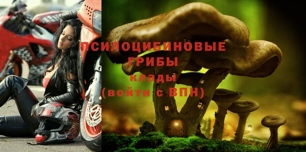 таблы Алзамай